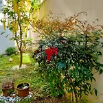 Casa Del 131 - Con Giardino Ravenna