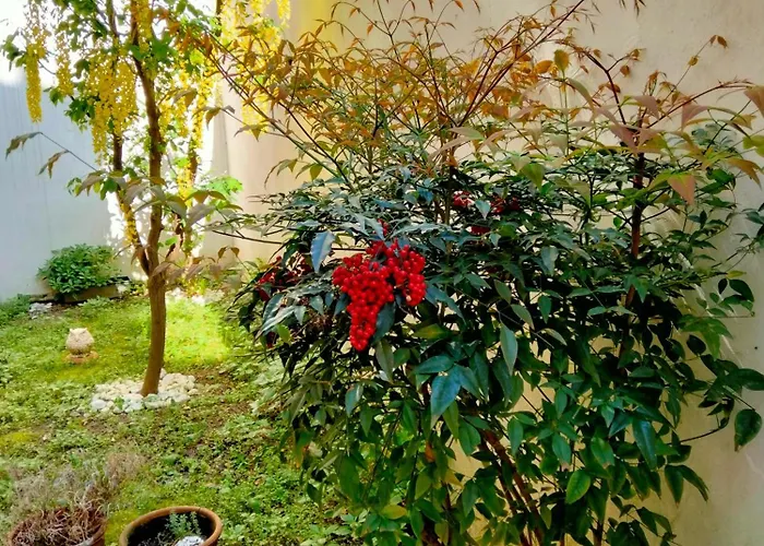 Casa Del 131 - Con Giardino Ravenna